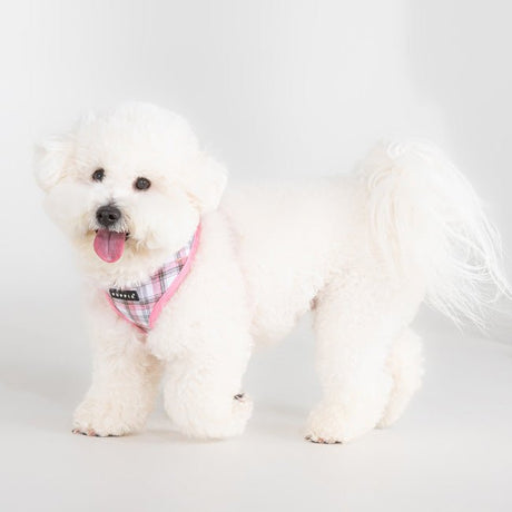 Puppia Windsor Hondentuig Model A Pink hondentuig > honden harnas > model A Small