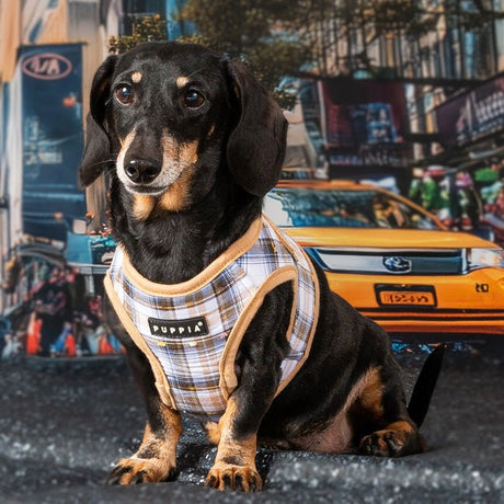 Puppia Windsor Vest Harness Model B Beige hondentuig > honden harnas > model B Small