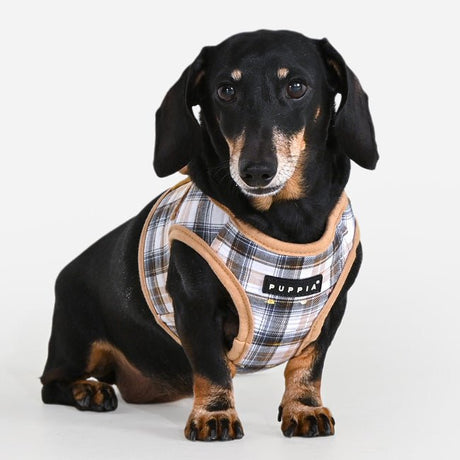 Puppia Windsor Vest Harness Model B Beige hondentuig > honden harnas > model B Small