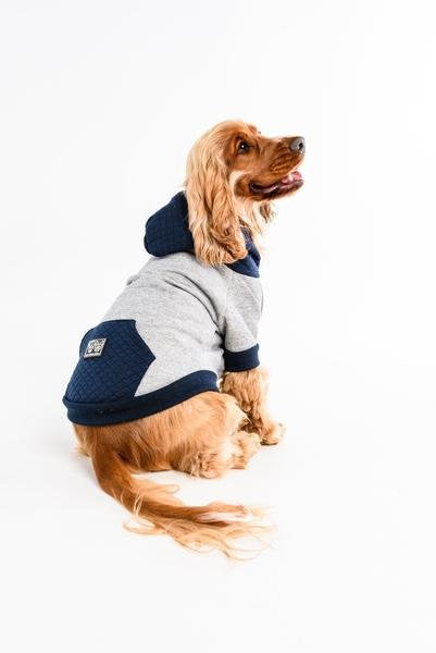 Big and Little Dogs hoody jumper Quilted Navy - Premium Hondenkleding > Hondentrui from Big and Little Dogs - Just €27.99! Shop now at Frenkiezdogshop