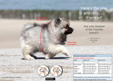 Frenkiez reflective no pull dog harness blue XS & S ) - Premium hondentuig > honden harnas from Frenkiez - Just €17.99! Shop now at Frenkiezdogshop