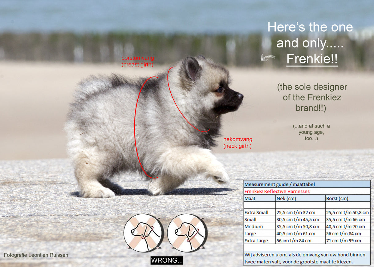 Frenkiez reflective Y tuig no pull dogharness beige - Premium hondentuig > honden harnas from Frenkiez - Just €34.99! Shop now at Frenkiezdogshop