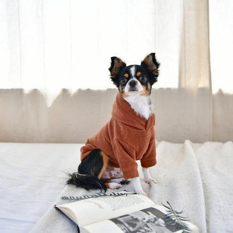 Pinkaholic Pippa Sweater Hooded T-Shirt Camel Hondenkleding > Hondentrui Small