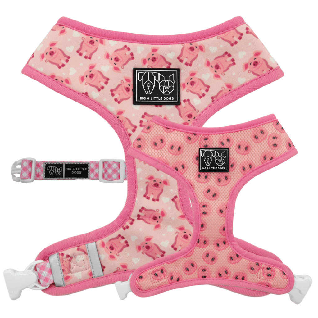 Big and Little Dogs Reversible Harness Gettin' Piggy With It - Premium hondentuig > honden harnas from Big and Little Dogs - Just €27.99! Shop now at Frenkiezdogshop