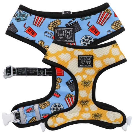 Big and Little Dogs Reversible Harness Lights, Camera, Action ( XS & M ) - Premium hondentuig > honden harnas from Big and Little Dogs - Just €27.99! Shop now at Frenkiezdogshop