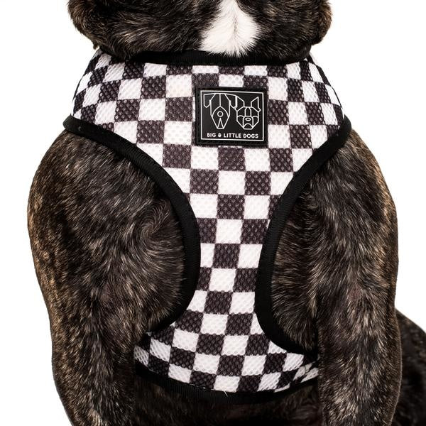 Big and Little Dogs Reversible Harness Need For Speed ( XS  ) - Premium hondentuig > honden harnas from Big and Little Dogs - Just €27.99! Shop now at Frenkiezdogshop