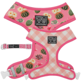 Big and Little Dogs Reversible Harness Plant One On Me (MEDIUM & XLARGE) - Premium hondentuig > honden harnas from Big and Little Dogs - Just €27.99! Shop now at Frenkiezdogshop