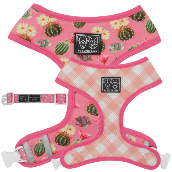 Big and Little Dogs Reversible Harness Plant One On Me (MEDIUM & XLARGE) - Premium hondentuig > honden harnas from Big and Little Dogs - Just €27.99! Shop now at Frenkiezdogshop