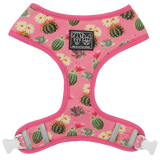 Big and Little Dogs Reversible Harness Plant One On Me (MEDIUM & XLARGE) - Premium hondentuig > honden harnas from Big and Little Dogs - Just €27.99! Shop now at Frenkiezdogshop