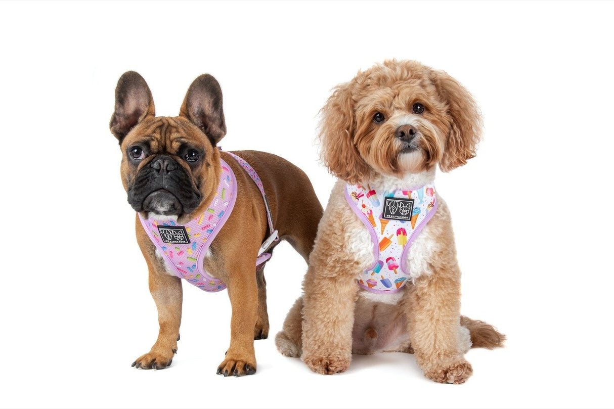 Big and Little Dogs Reversible Popsicle Dreams - Premium hondentuig > honden harnas from Big and Little Dogs - Just €27.99! Shop now at Frenkiezdogshop