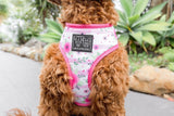 Big and Little Dogs Reversible Pretty as can Bee - Premium hondentuig > honden harnas from Big and Little Dogs - Just €27.99! Shop now at Frenkiezdogshop