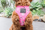 Big and Little Dogs Reversible Pretty as can Bee - Premium hondentuig > honden harnas from Big and Little Dogs - Just €27.99! Shop now at Frenkiezdogshop