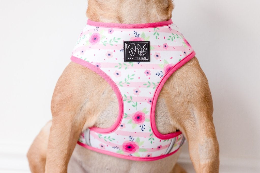 Big and Little Dogs Reversible Pretty as can Bee - Premium hondentuig > honden harnas from Big and Little Dogs - Just €27.99! Shop now at Frenkiezdogshop