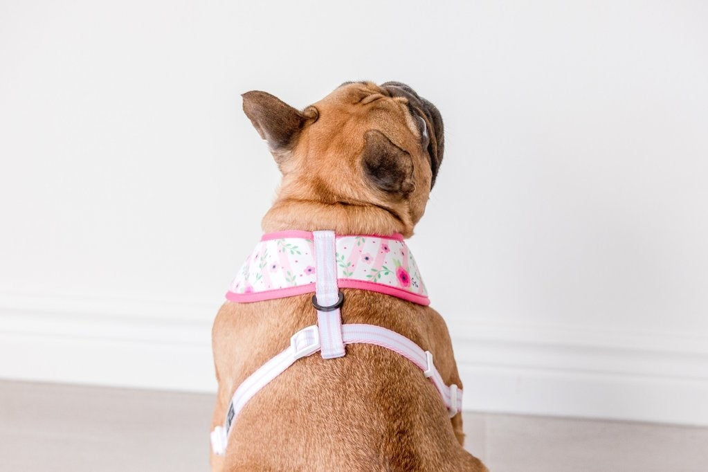 Big and Little Dogs Reversible Pretty as can Bee - Premium hondentuig > honden harnas from Big and Little Dogs - Just €27.99! Shop now at Frenkiezdogshop