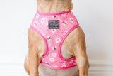 Big and Little Dogs Reversible Pretty as can Bee - Premium hondentuig > honden harnas from Big and Little Dogs - Just €27.99! Shop now at Frenkiezdogshop