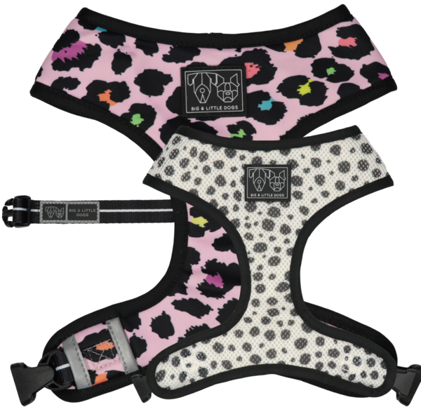 Big and Little Dogs Reversible Spotted Leopard - Premium hondentuig > honden harnas from Big and Little Dogs - Just €27.99! Shop now at Frenkiezdogshop