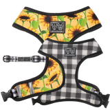 Big and Little Dogs Reversible Harness Sunny Vibes - Premium hondentuig > honden harnas from Big and Little Dogs - Just €27.99! Shop now at Frenkiezdogshop