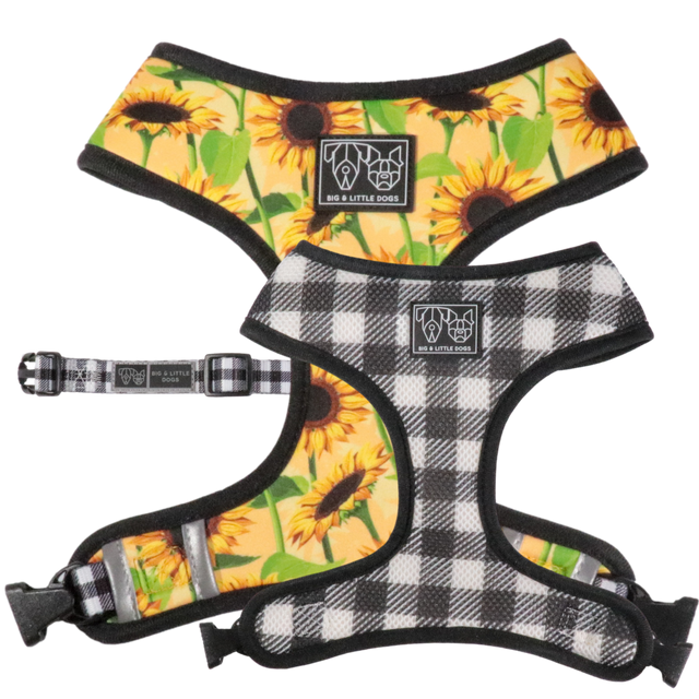 Big and Little Dogs Reversible Harness Sunny Vibes - Premium hondentuig > honden harnas from Big and Little Dogs - Just €27.99! Shop now at Frenkiezdogshop