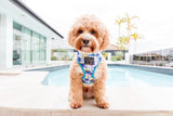 Big and Little Dogs Reversible Surf's Up - Premium hondentuig > honden harnas from Big and Little Dogs - Just €27.99! Shop now at Frenkiezdogshop