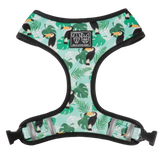 Big and Little Dogs Reversible Harness Toucan do it - Premium hondentuig > honden harnas from Big and Little Dogs - Just €28.99! Shop now at Frenkiezdogshop