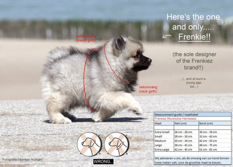 Frenkiez Reversible Harness Maki Flower hondentuig > honden harnas > model A X - Small