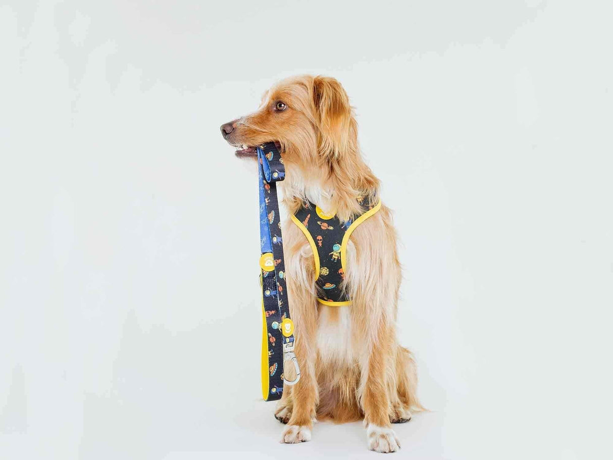 Dukier Reversible Harness Space - Premium hondentuig > honden harnas from Dukier - Just €22.99! Shop now at Frenkiezdogshop