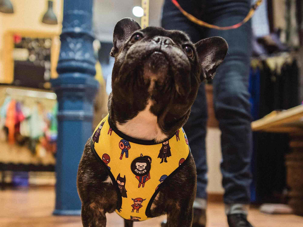 Dukier Reversible Harness Superdog - Premium hondentuig > honden harnas from Dukier - Just €22.99! Shop now at Frenkiezdogshop