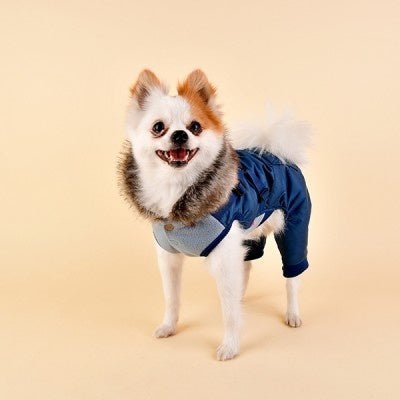 Pinkaholic Addie Jacket Harness Navy Hondenkleding > hondenjas Small