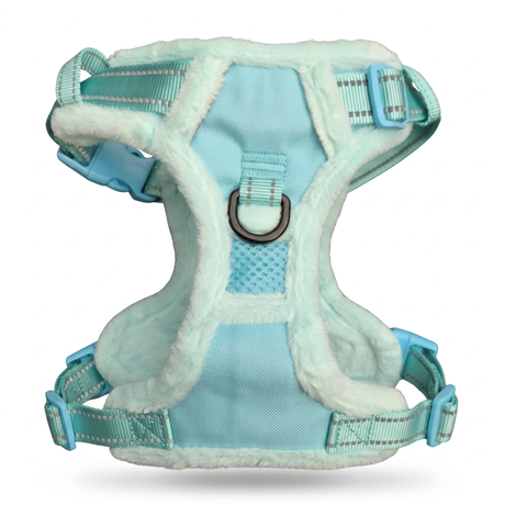 Frenkiez Teddy reflective Y tuig no pull dogharness Mint