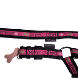 Bobby Yaimeles harness + belt pink second chance