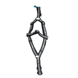 Bobby Yaimeles harness Gray second chance