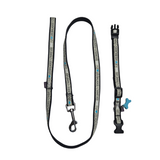 Bobby Yaimeles collar and leash Gray second chance