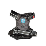 Frenkiez Teddy reflective Y tuig no pull dogharness Black