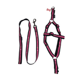 Bobby Yaimeles harness + belt pink second chance