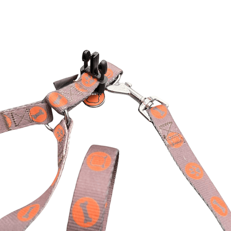 Bobby Bones harness + riem Brown tweedekans hondentuig > honden harnas Set Medium