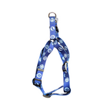 Bobby Bones harness second chance Red, blue &amp; brown