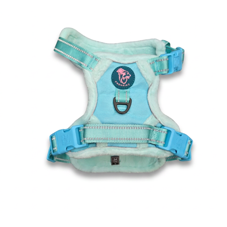 Frenkiez Teddy reflective Y tuig no pull dogharness Mint
