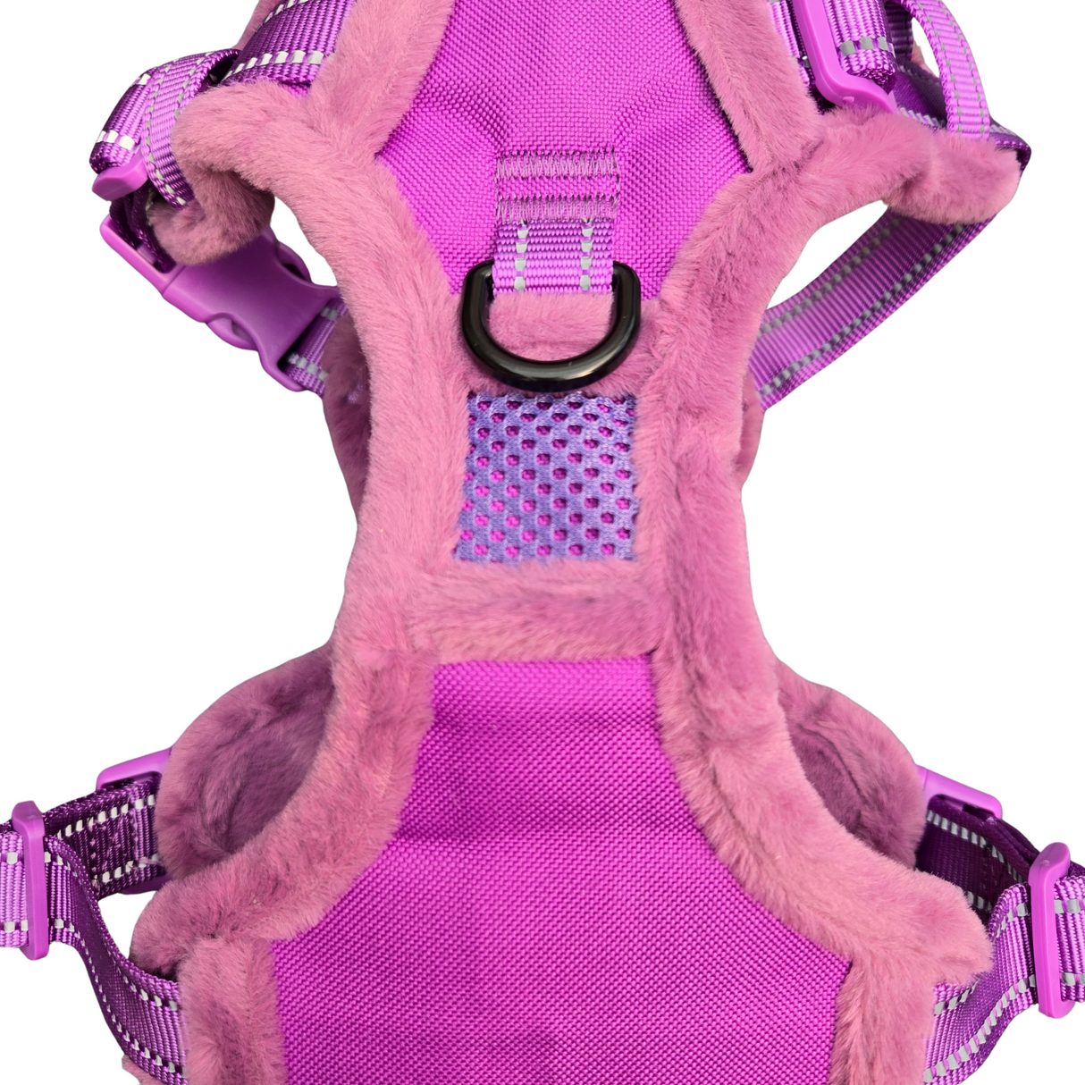 Frenkiez Teddy reflective Y tuig no pull dogharness Purple