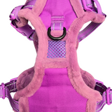 Frenkiez Teddy reflective Y tuig no pull dogharness Purple