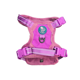 Frenkiez Teddy reflective Y tuig no pull dogharness Purple