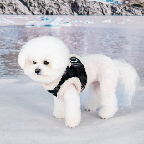 Puppia Winterstride Vest Harness B Black hondentuig > honden harnas > model B Small