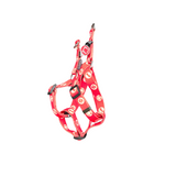 Bobby Bones harness second chance Red, blue &amp; brown