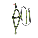 Bobby Yaimeles harness + belt Green second chance