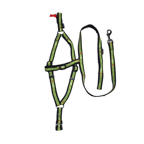 Bobby Yaimeles harness + riem Green tweedekans