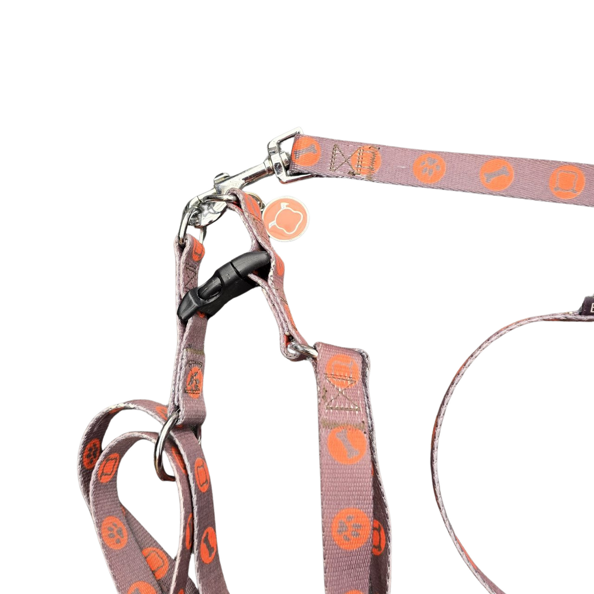 Bobby Bones harness + belt Brown second chance