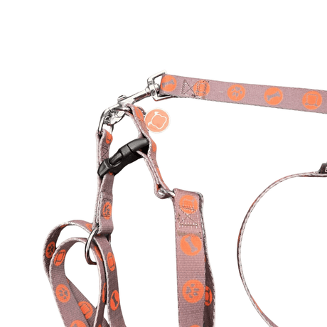 Bobby Bones harness + riem Brown tweedekans hondentuig > honden harnas Set Medium