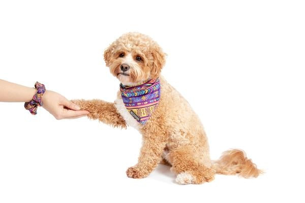 Big and Little Dogs Aztec Dreams scrunchie - Premium Haarelastiek > haarasseccoire from Big and Little Dogs - Just €9.99! Shop now at Frenkiezdogshop