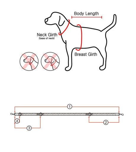 Puppia Trek Lijn Royal Blue hondenriem > hondenlijn Medium