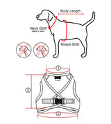 Pinkaholic Calla Vest Harness Ivory - Premium hondentuig > honden harnas from Pinkaholic - Just €31.99! Shop now at Frenkiezdogshop