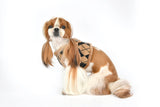 Puppia Vest Harness B Jaden Beige - Premium hondentuig > honden harnas from Puppia - Just €30.99! Shop now at Frenkiezdogshop